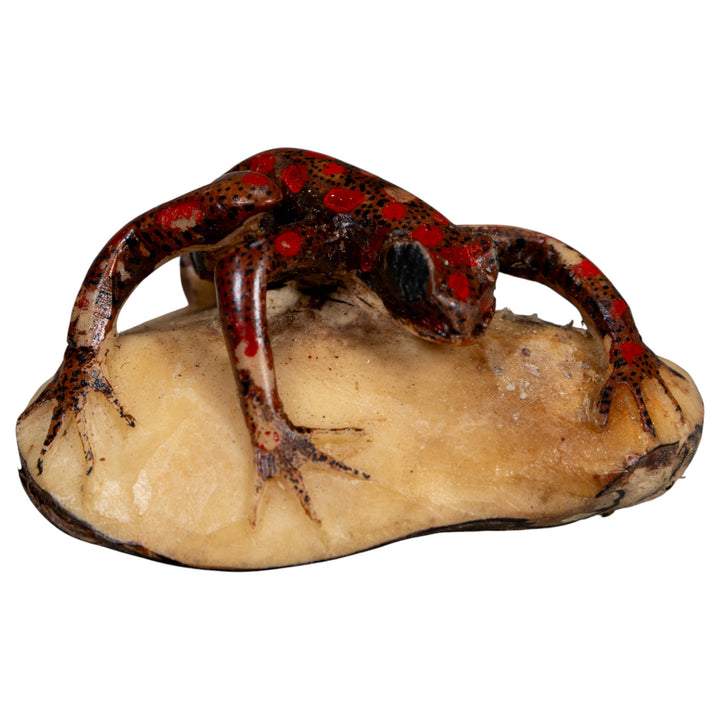 Vintage Black And Red Weird Frog Tagua Carving