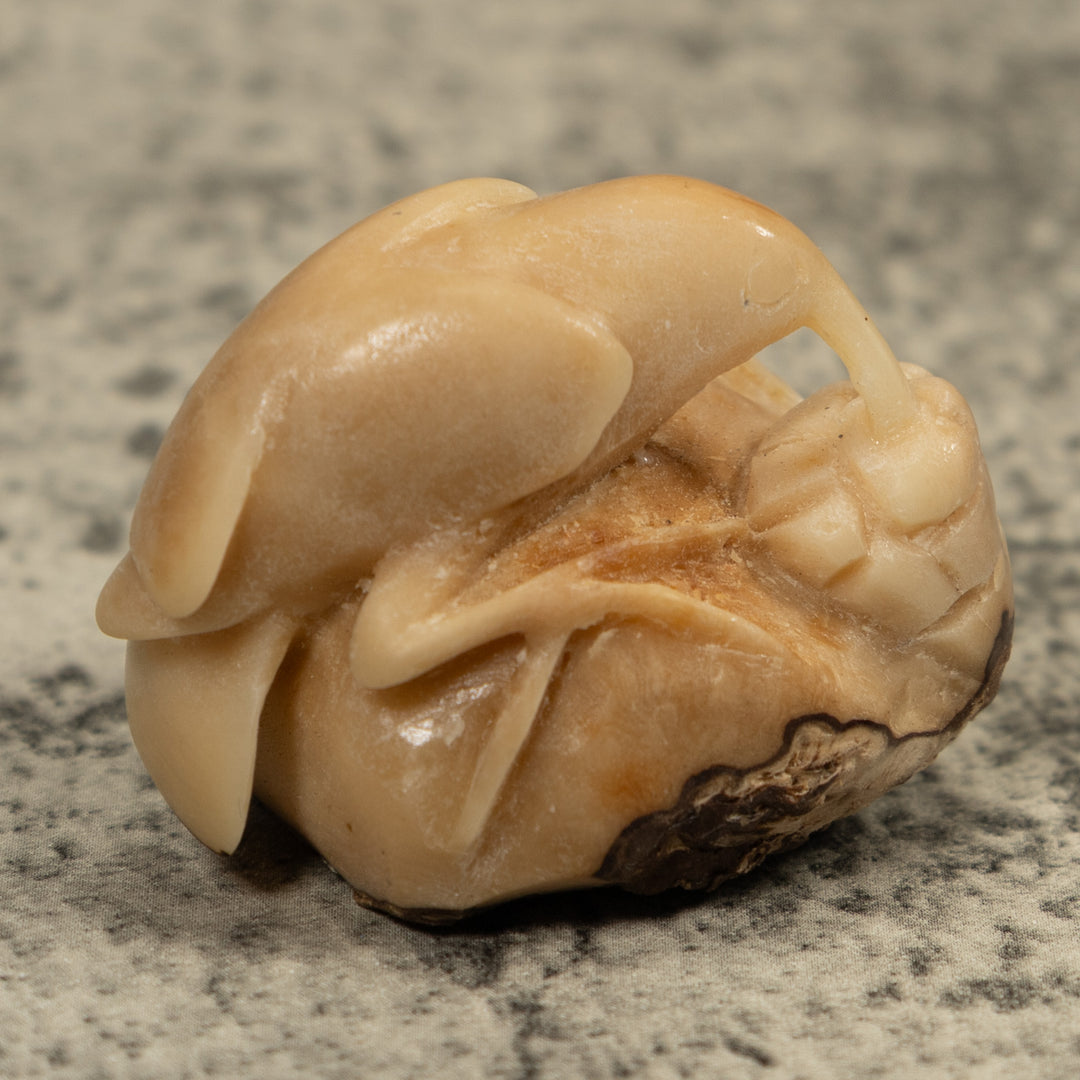 Vintage Natural White Hummingbird Tagua Carving