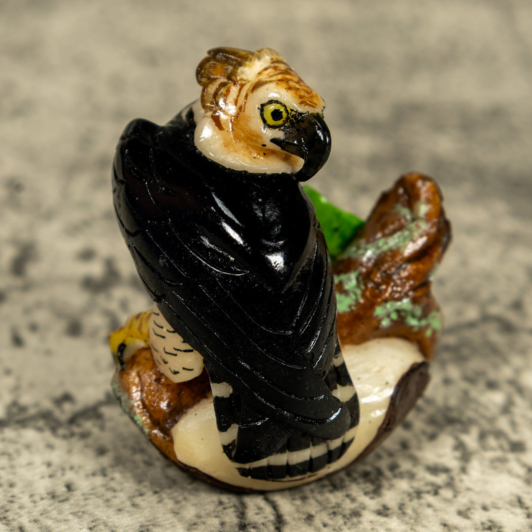 Magnificent Endangered Harpy Eagle Tagua Carving