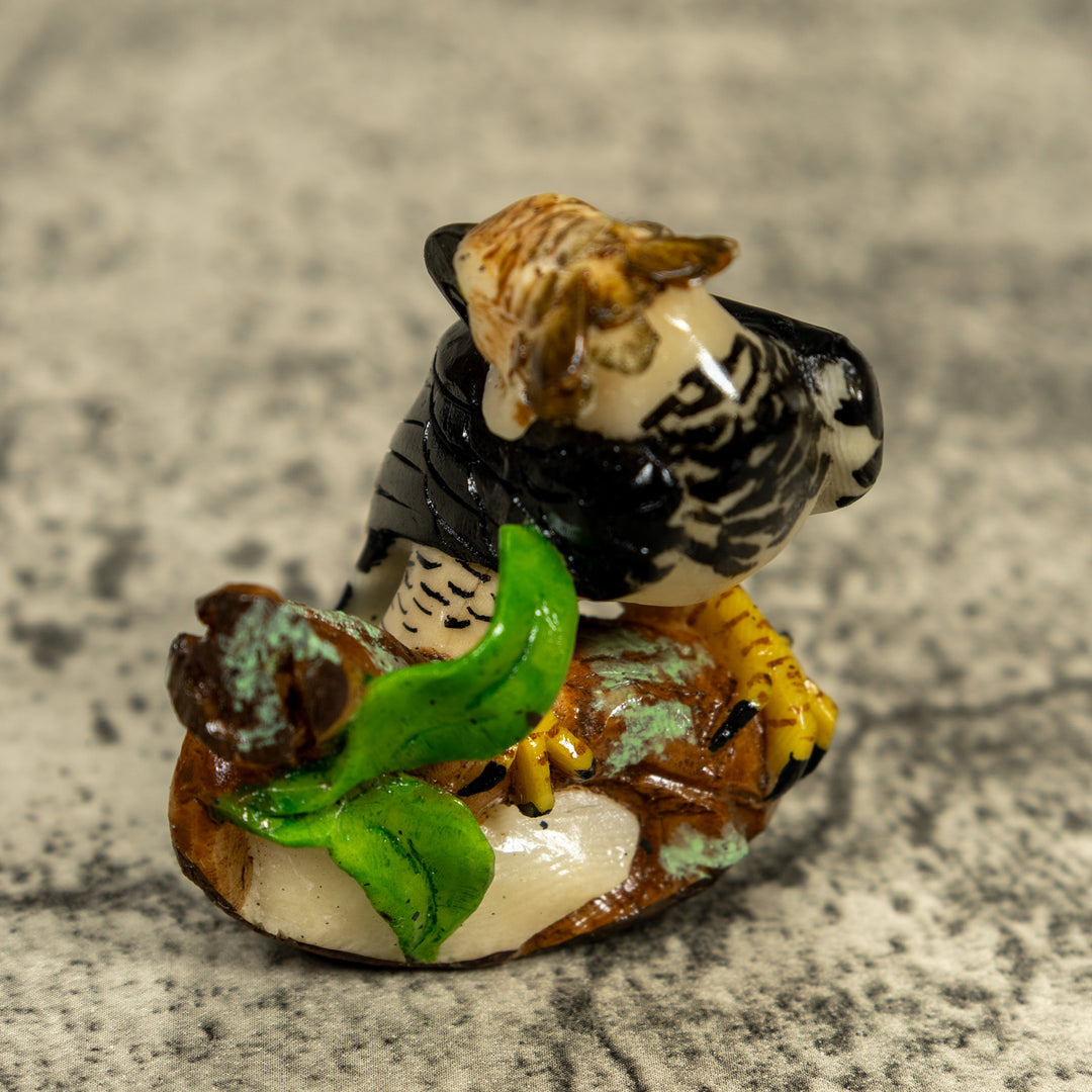 Magnificent Endangered Harpy Eagle Tagua Carving