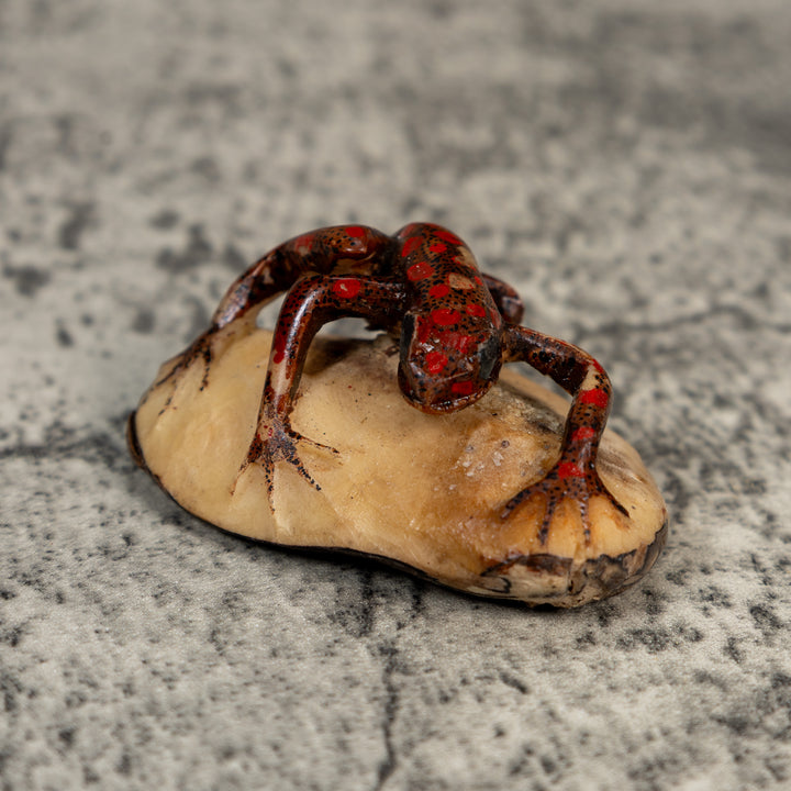 Vintage Black And Red Weird Frog Tagua Carving