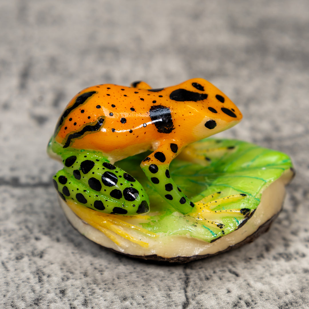 Green Gold And Black Poison Dart Frog Tagua Carving