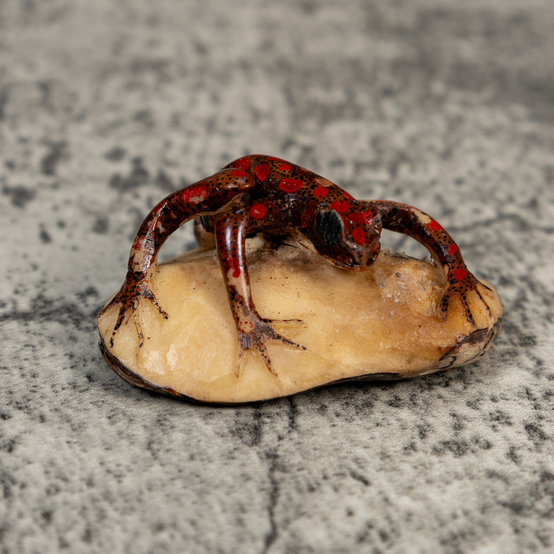 Vintage Black And Red Weird Frog Tagua Carving