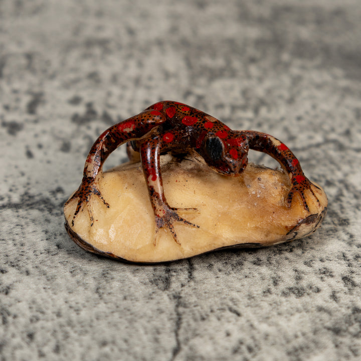 Vintage Black And Red Weird Frog Tagua Carving