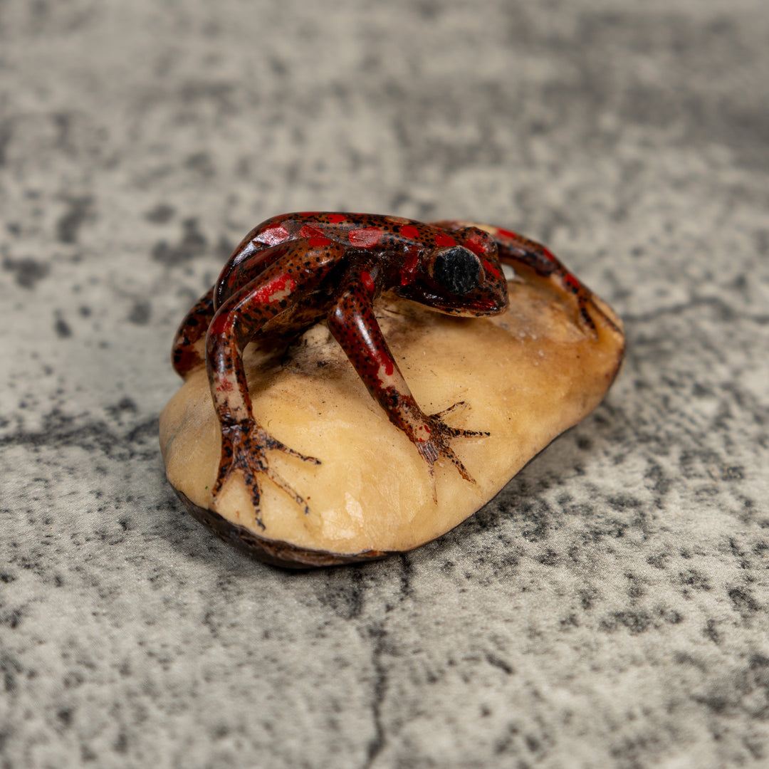 Vintage Black And Red Weird Frog Tagua Carving