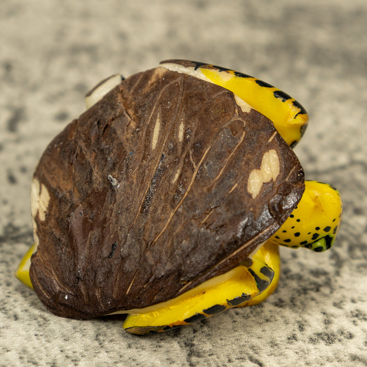 Brown Yellow And Black Sea Turtle Tagua Carving