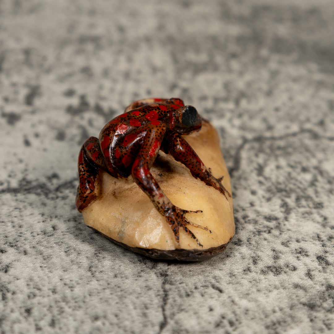 Vintage Black And Red Weird Frog Tagua Carving
