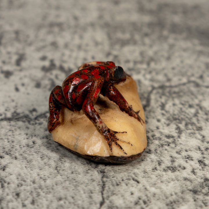 Vintage Black And Red Weird Frog Tagua Carving