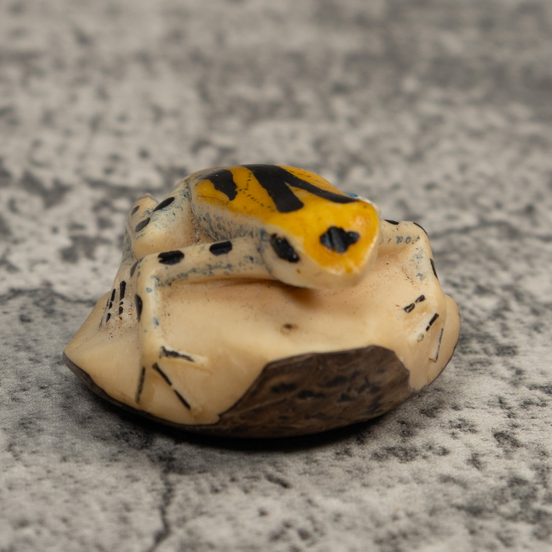 Gold Black And Blue Poison Dart Frog Tagua Carving