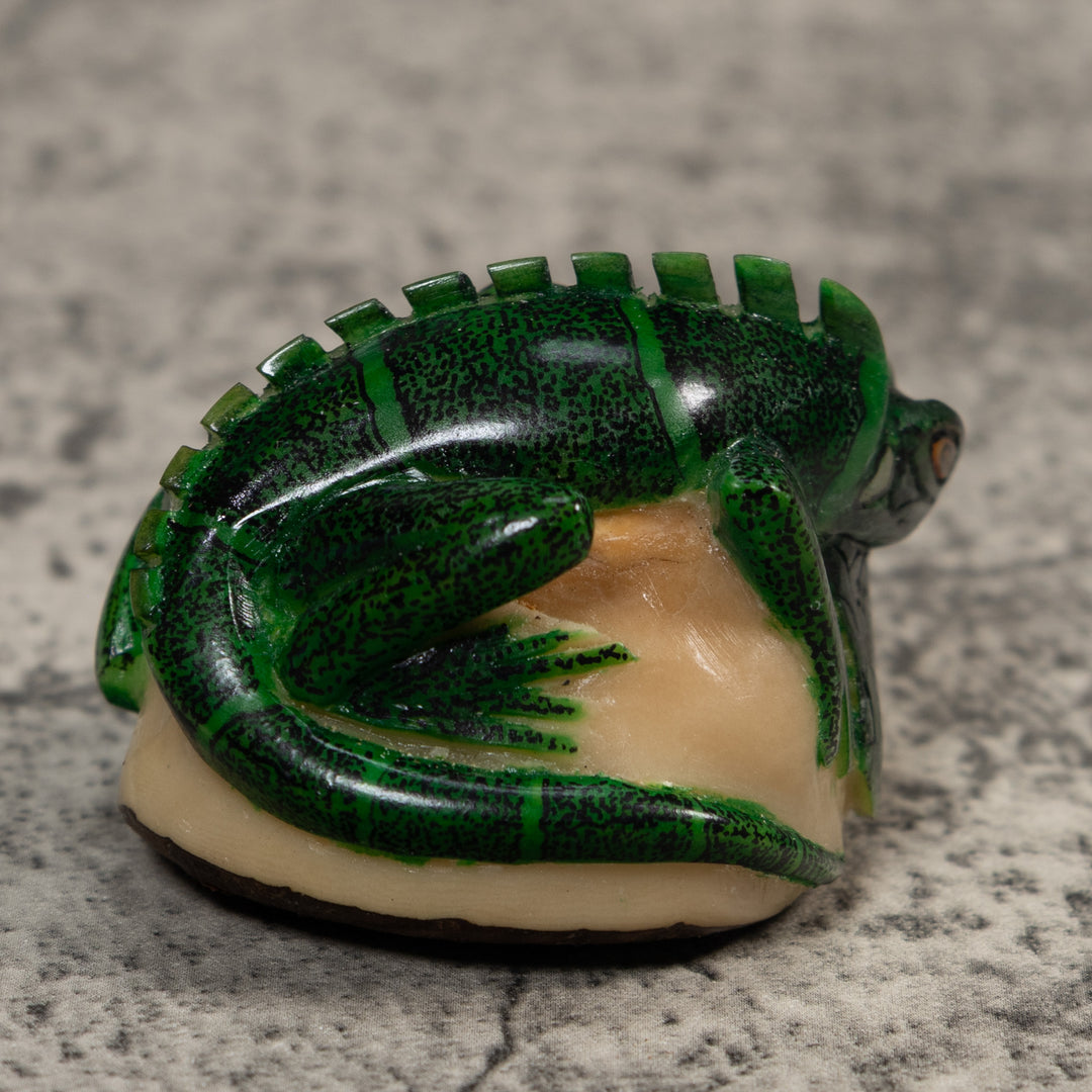 Green Iguana Lizard Iguana Tagua Carving