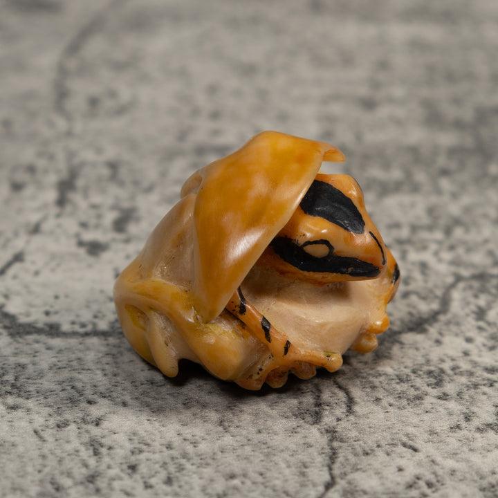 Gold And Black Poison Dart Frog Under Leaf Tagua Carving