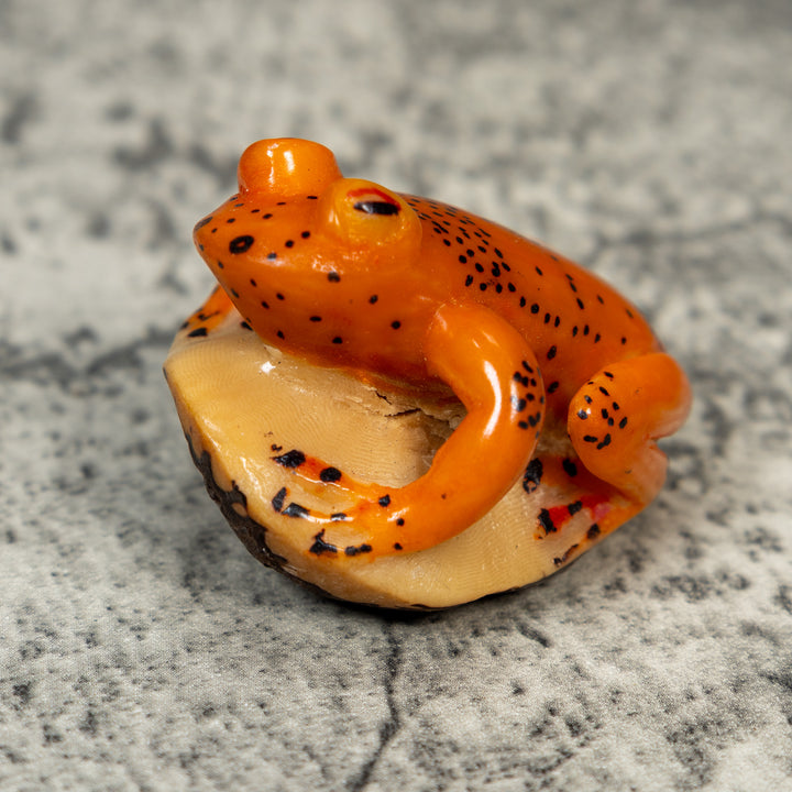 Orange And Black Frog Tagua Carving