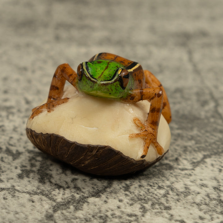 Poison Dart Frog Tagua Carving