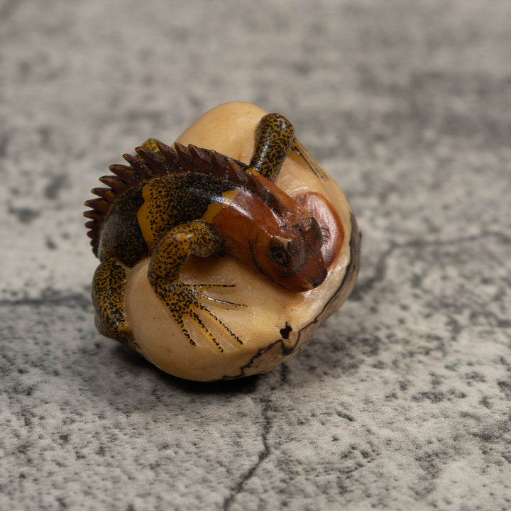 Brown And Black Iguana Lizard Tagua Carving