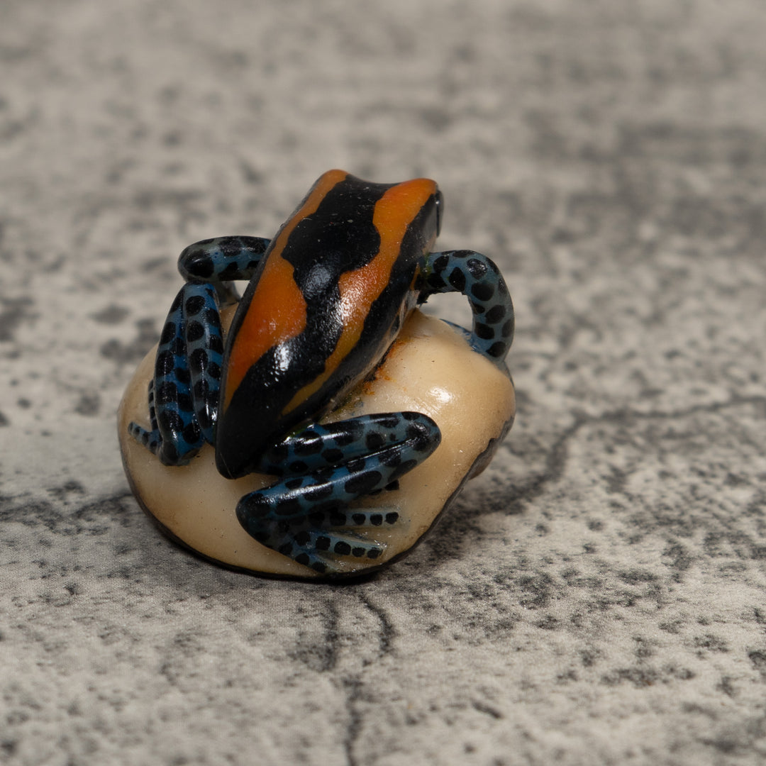 Gold And Black Poison Dart Frog Tagua Carving