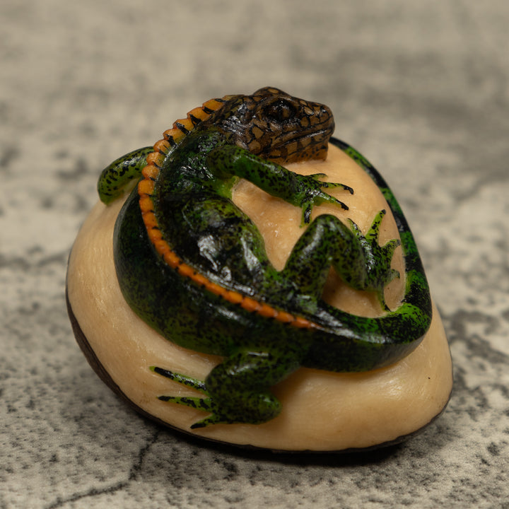 Iguana Lizard Reptile Tagua Carving