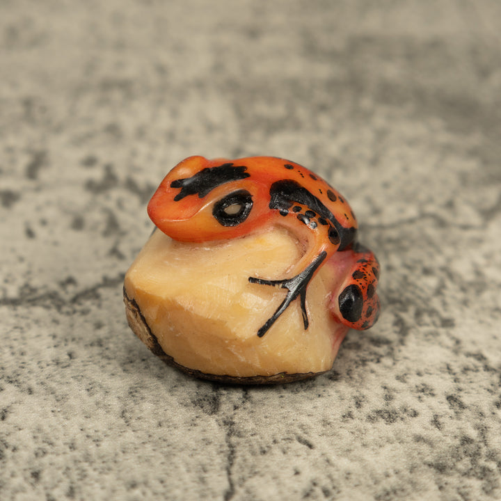 Vintage Orange And Black Poison Dart Frog Tagua Carving