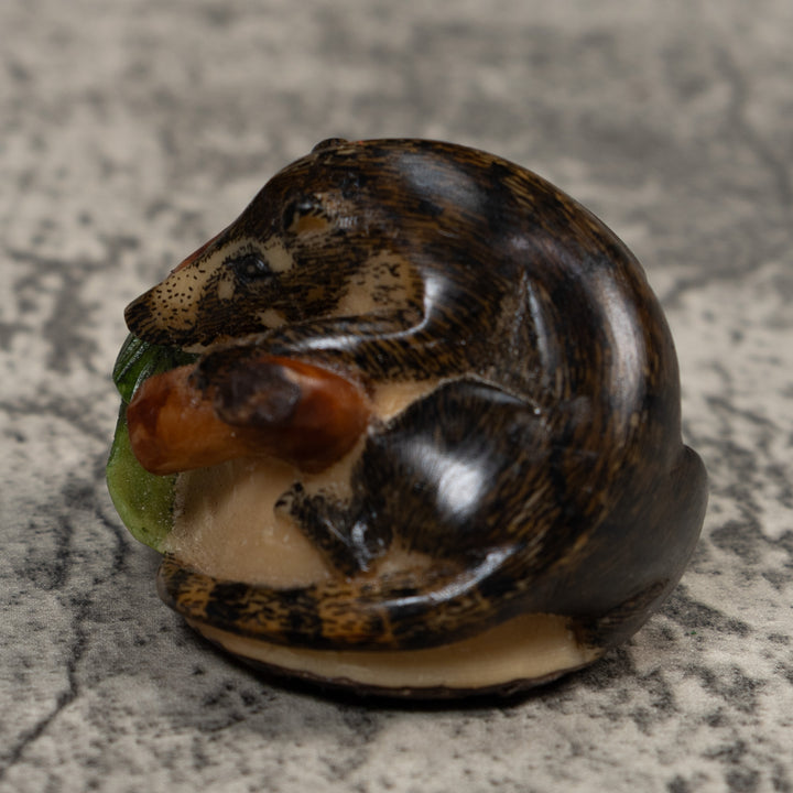 Coatimundi Tagua Carving