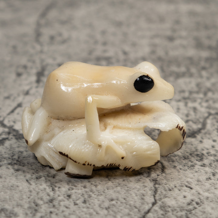 White Natural Frog Tagua Carving