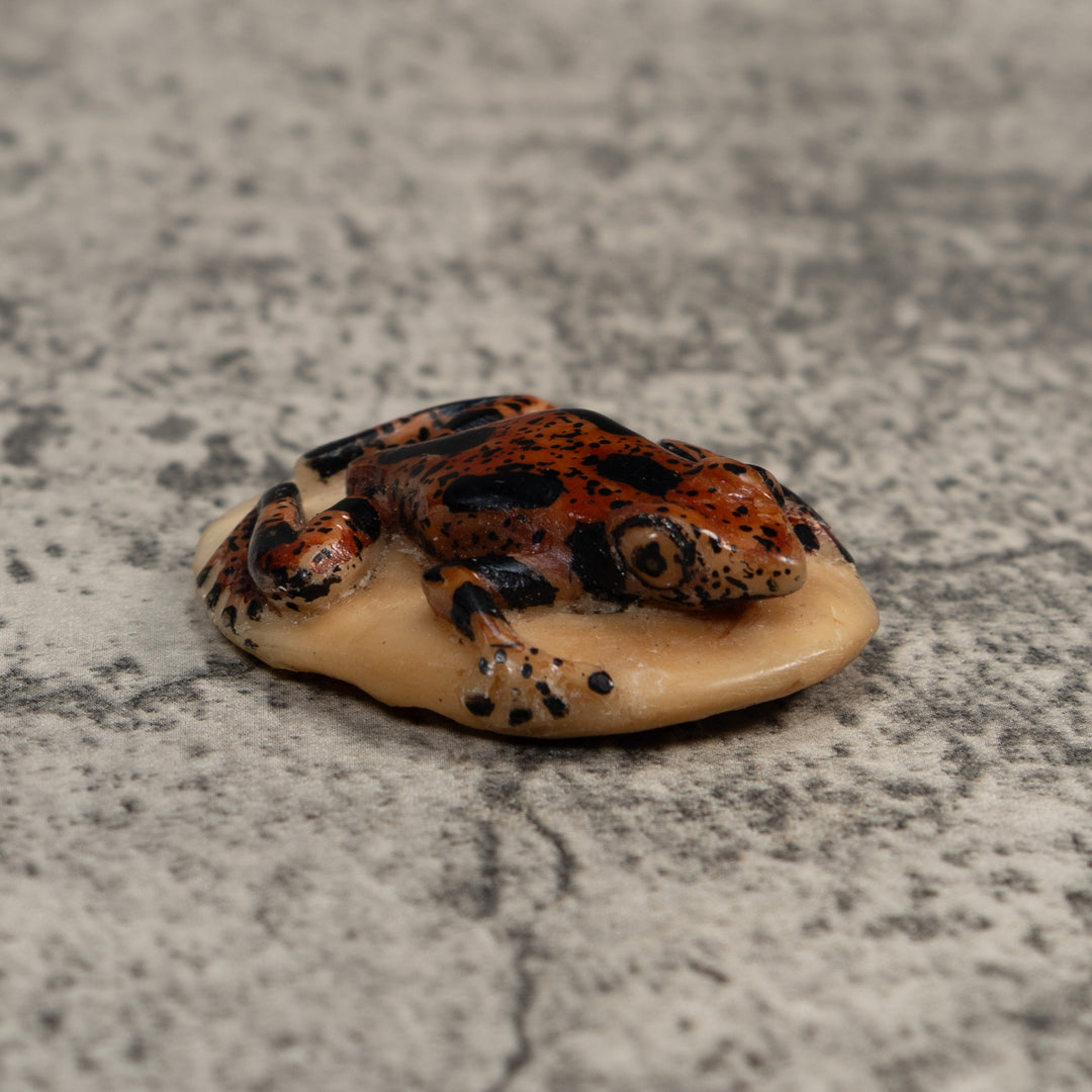 Vintage Brown And Black Poison Dart Frog Tagua Carving