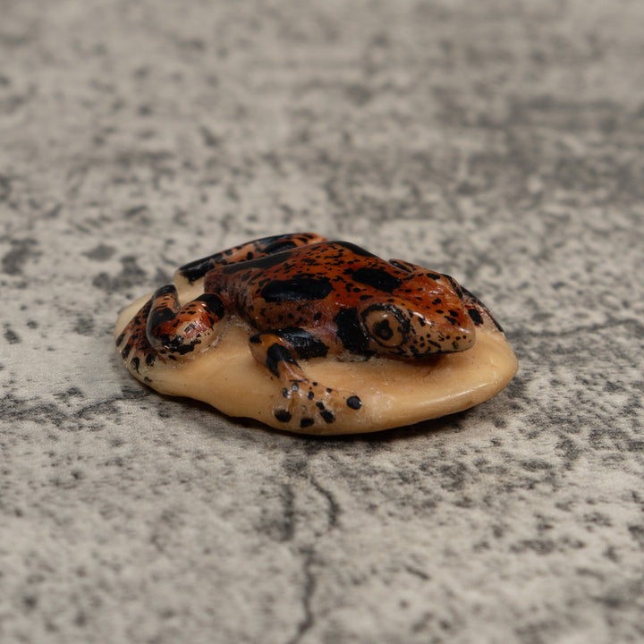Vintage Brown And Black Poison Dart Frog Tagua Carving