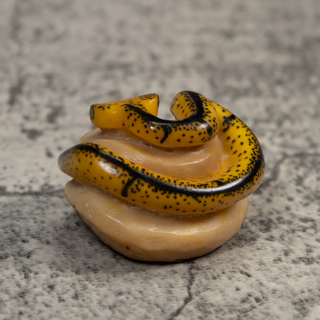 Black And Tan Bush Master Snake Tagua Carving