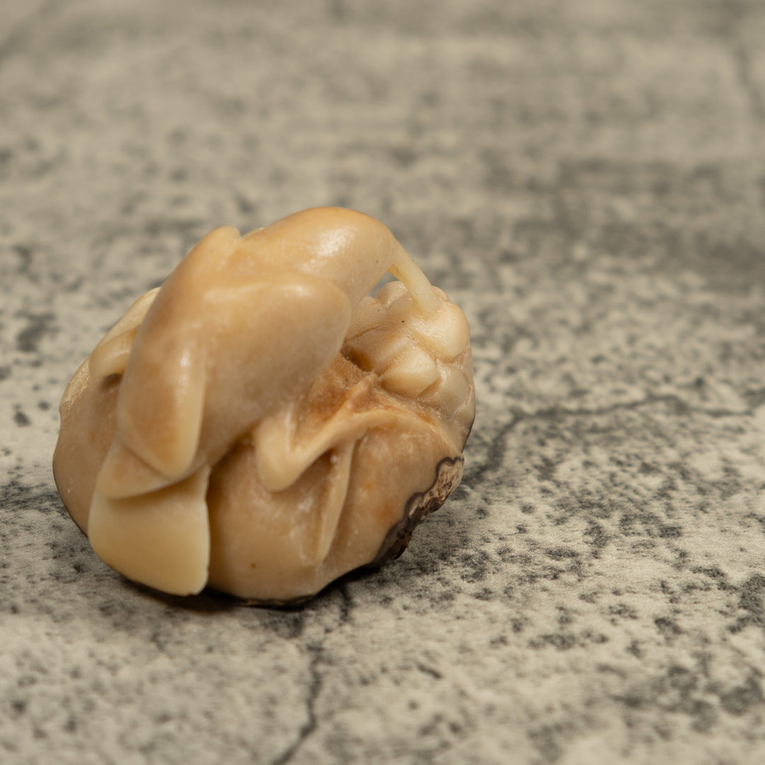 Vintage Natural White Hummingbird Tagua Carving