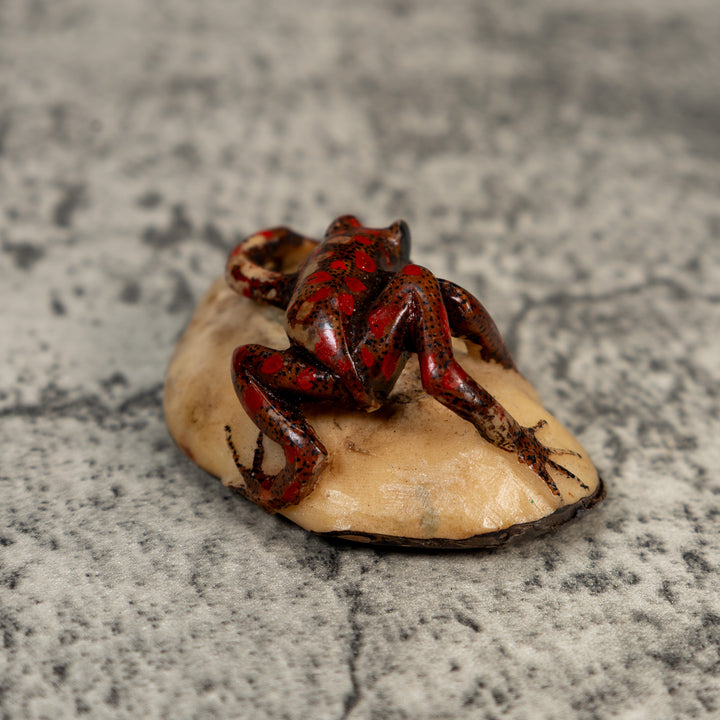 Vintage Black And Red Weird Frog Tagua Carving