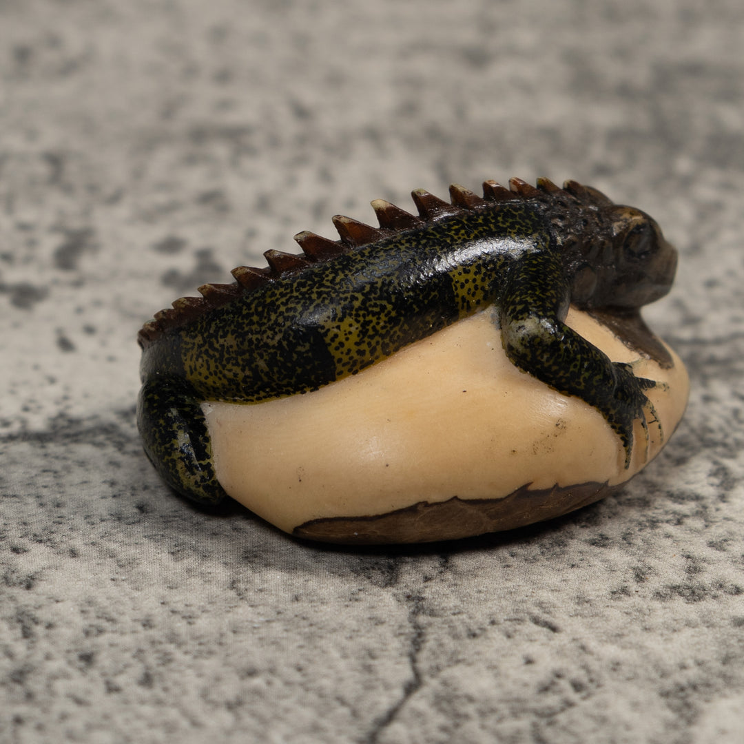 Vintage Green And Black Iguana Lizard Tagua Carving