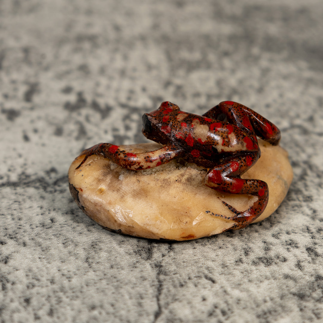 Vintage Black And Red Weird Frog Tagua Carving