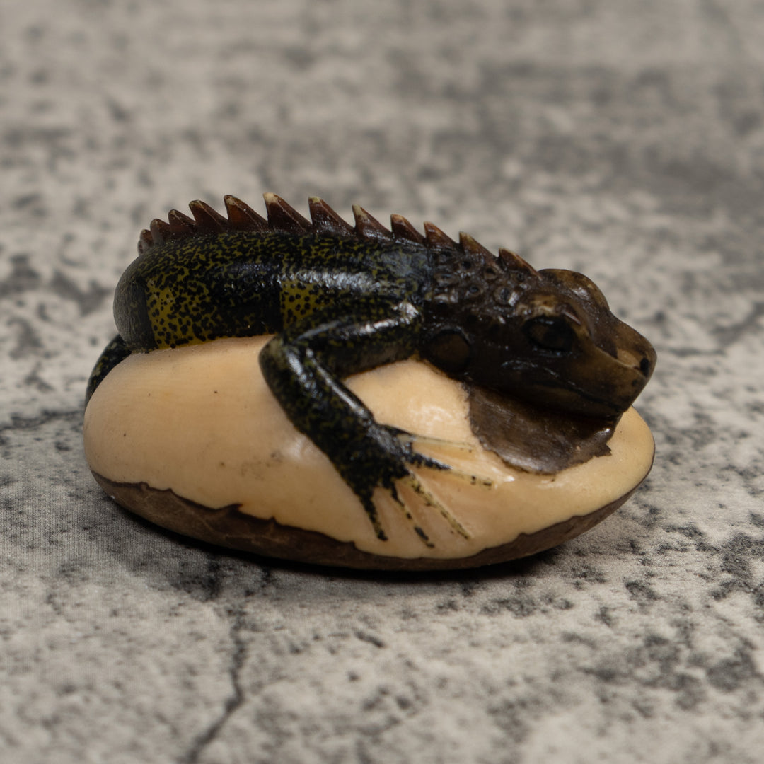 Vintage Green And Black Iguana Lizard Tagua Carving