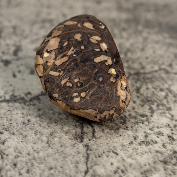 Vintage Black And Red Weird Frog Tagua Carving