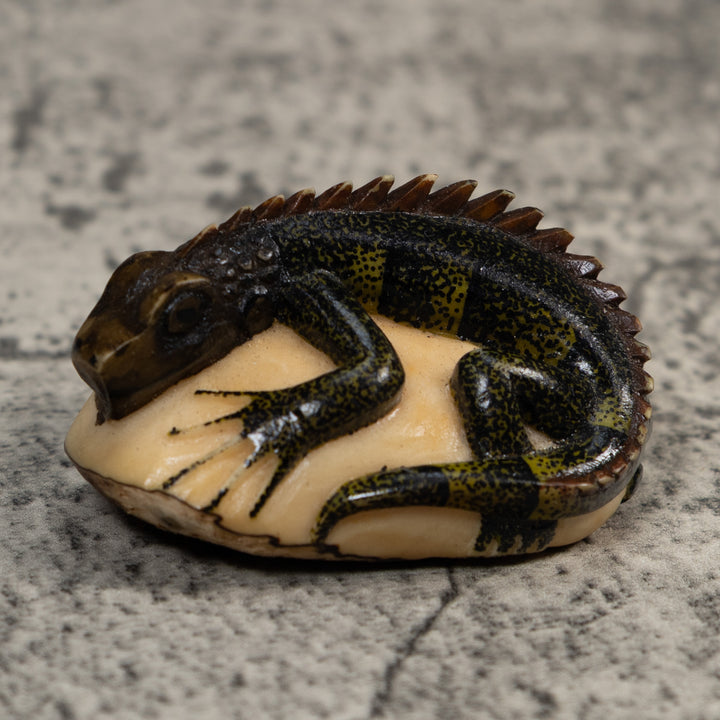 Vintage Green And Black Iguana Lizard Tagua Carving