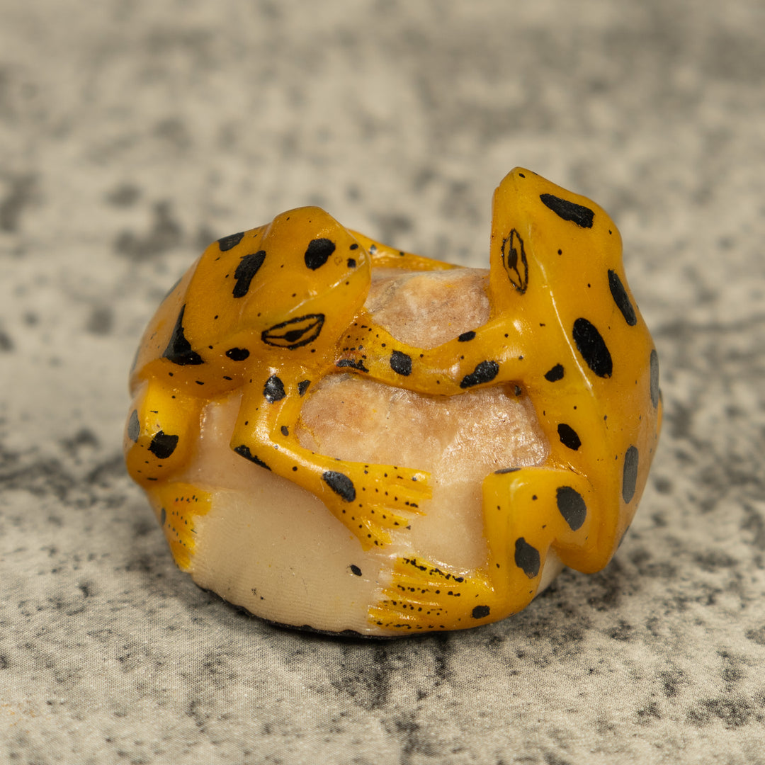 Vintage Gold And Black Double (2) Frog Tagua Carving