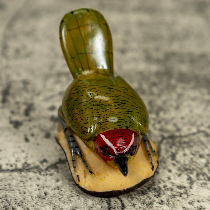 Seed Eater Bird Wren Tagua Carving