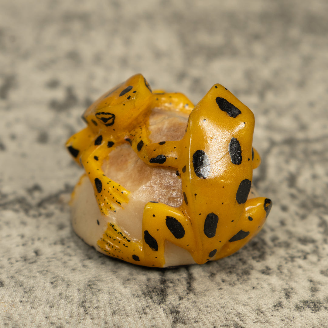 Vintage Gold And Black Double (2) Frog Tagua Carving