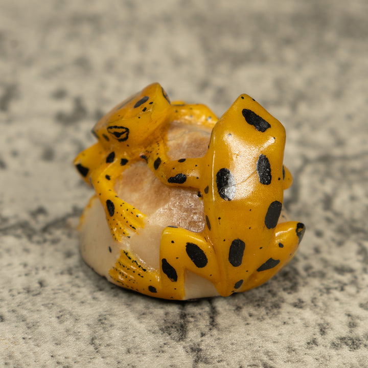 Vintage Gold And Black Double (2) Frog Tagua Carving