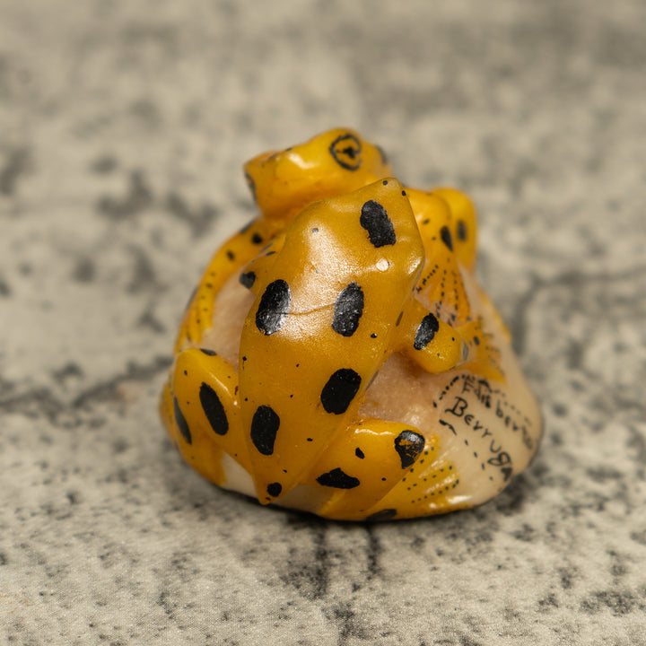 Vintage Gold And Black Double (2) Frog Tagua Carving