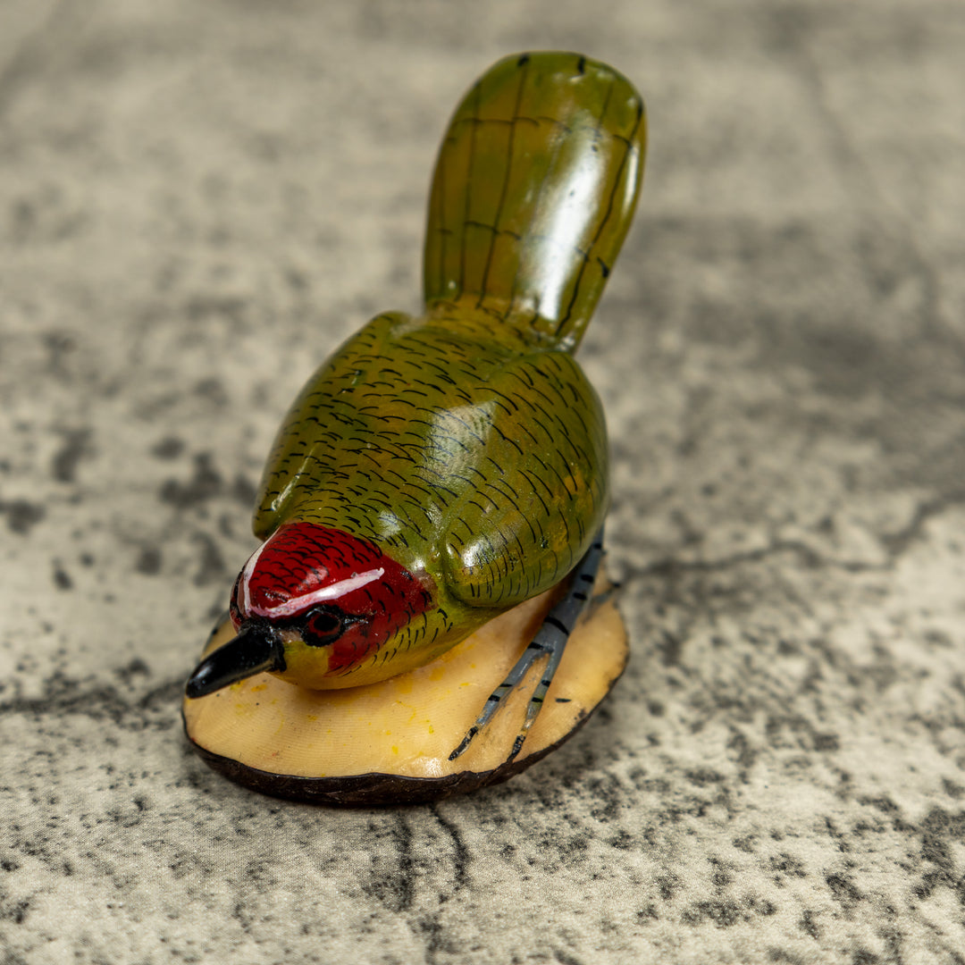 Seed Eater Bird Wren Tagua Carving