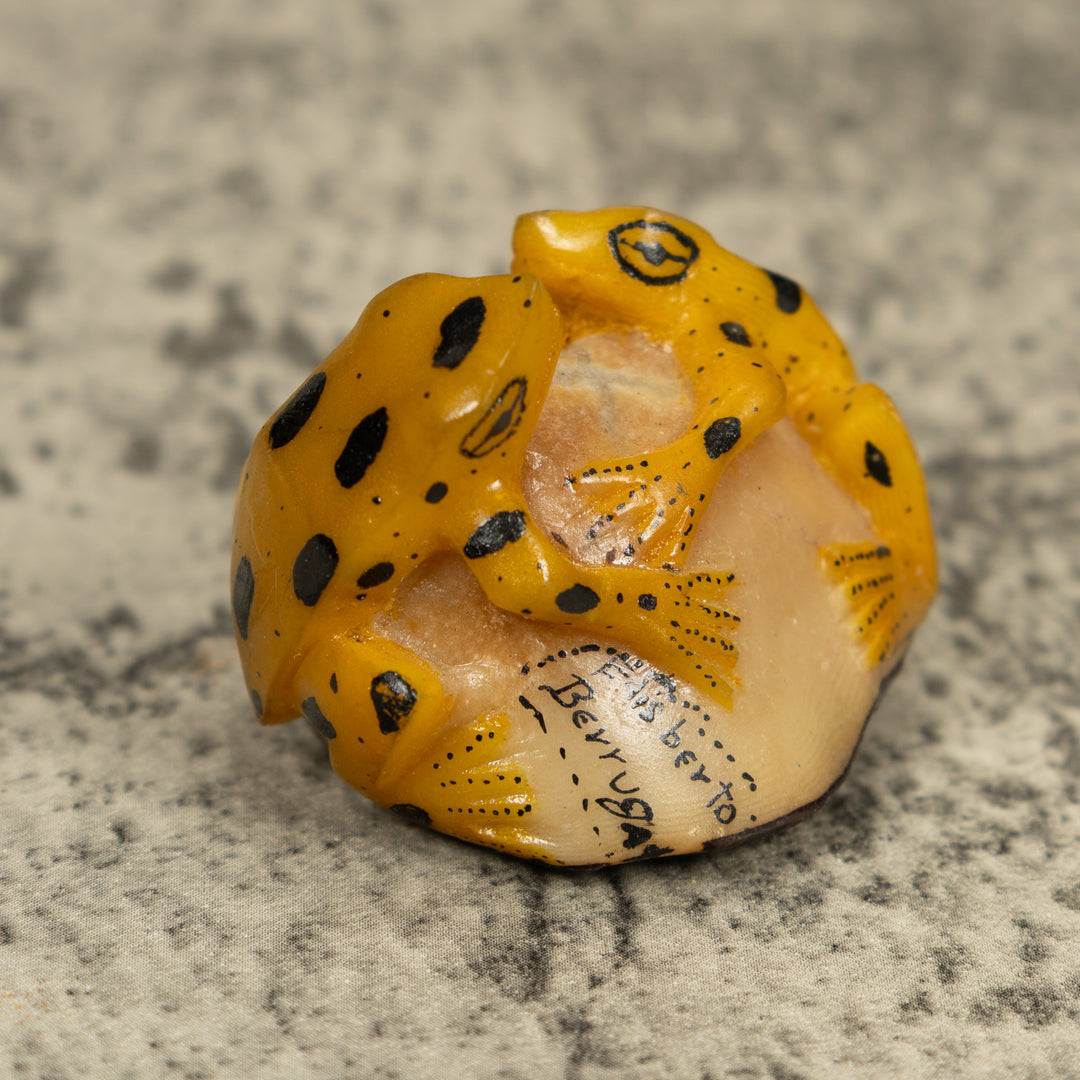 Vintage Gold And Black Double (2) Frog Tagua Carving