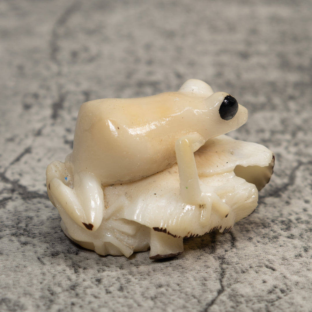 White Natural Frog Tagua Carving