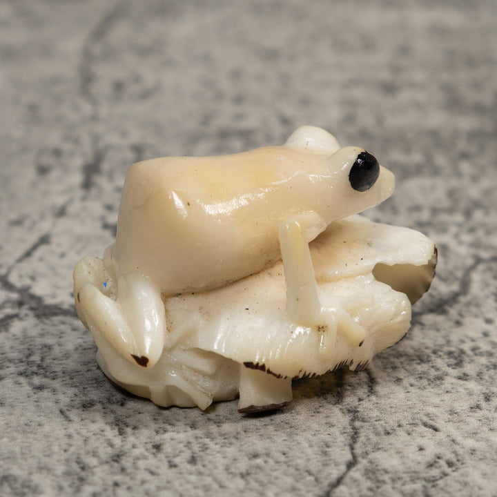 White Natural Frog Tagua Carving