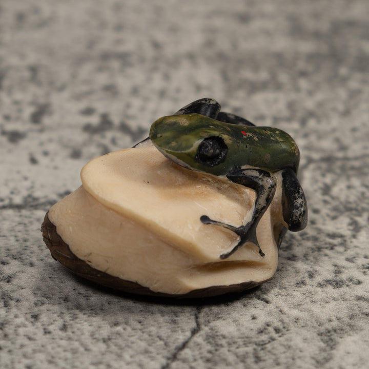 Vintage Poison Dart Frog Tagua Carving