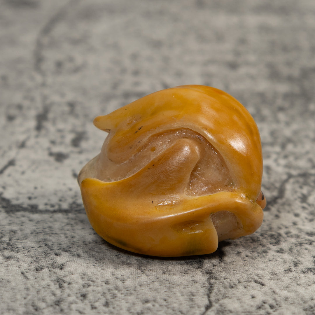 Gold And Black Poison Dart Frog Under Leaf Tagua Carving