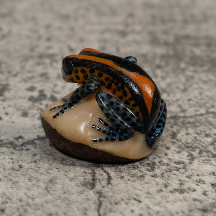 Gold And Black Poison Dart Frog Tagua Carving