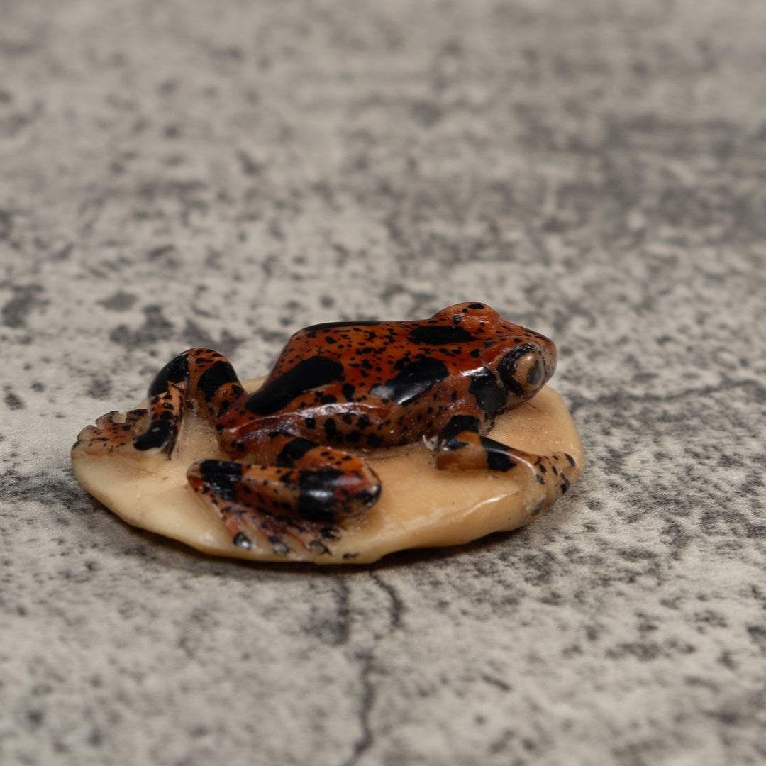 Vintage Brown And Black Poison Dart Frog Tagua Carving