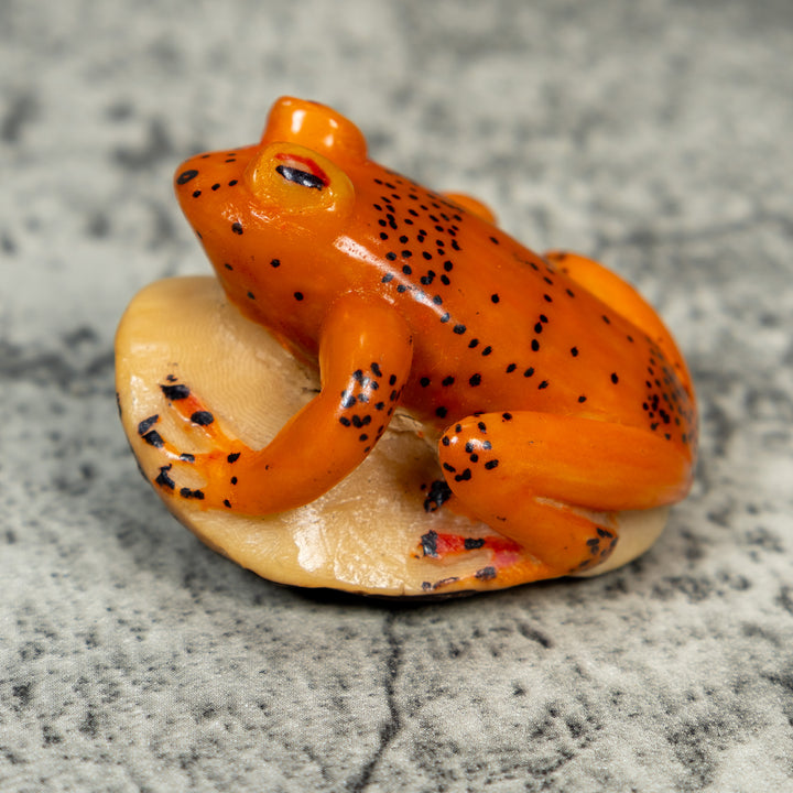 Orange And Black Frog Tagua Carving