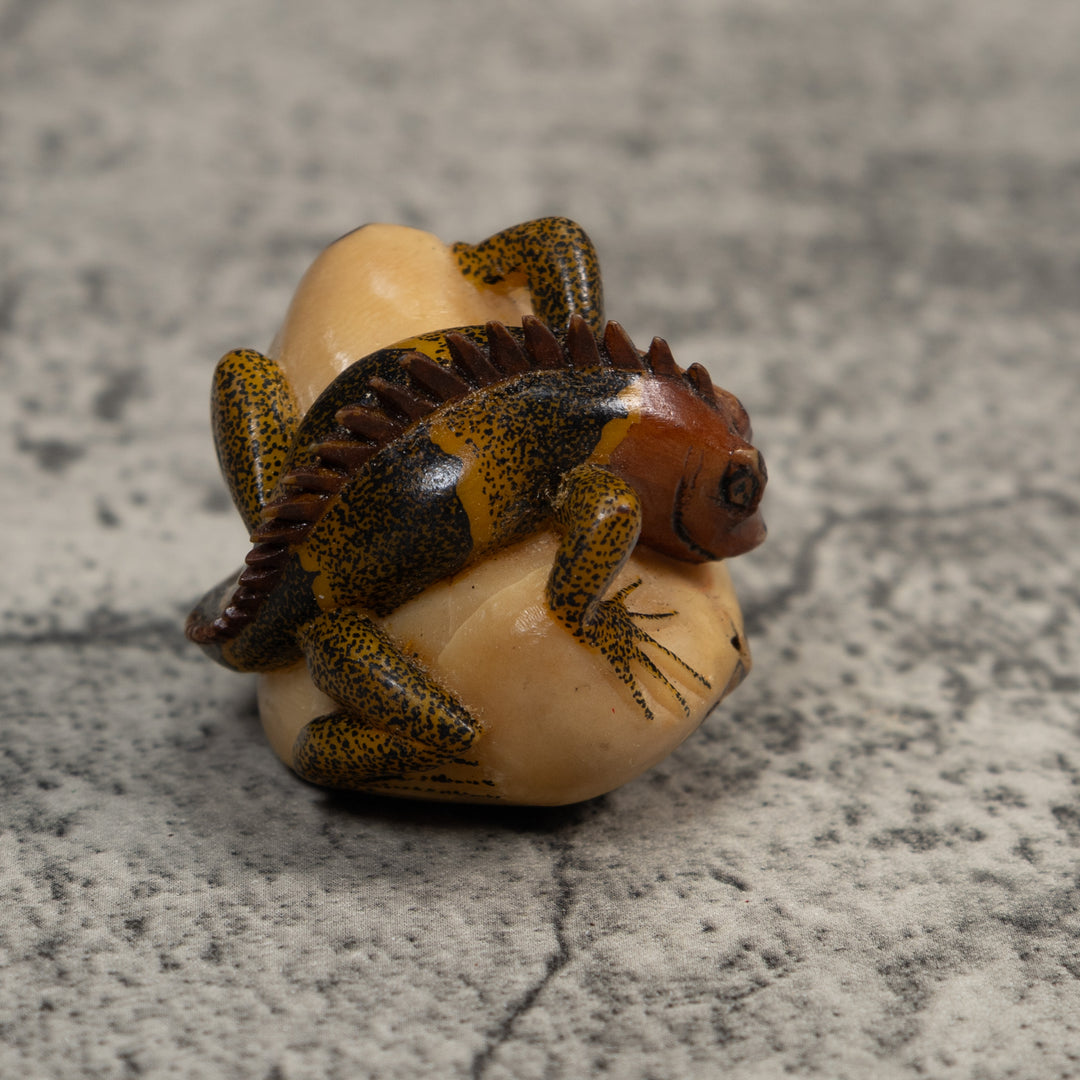 Brown And Black Iguana Lizard Tagua Carving