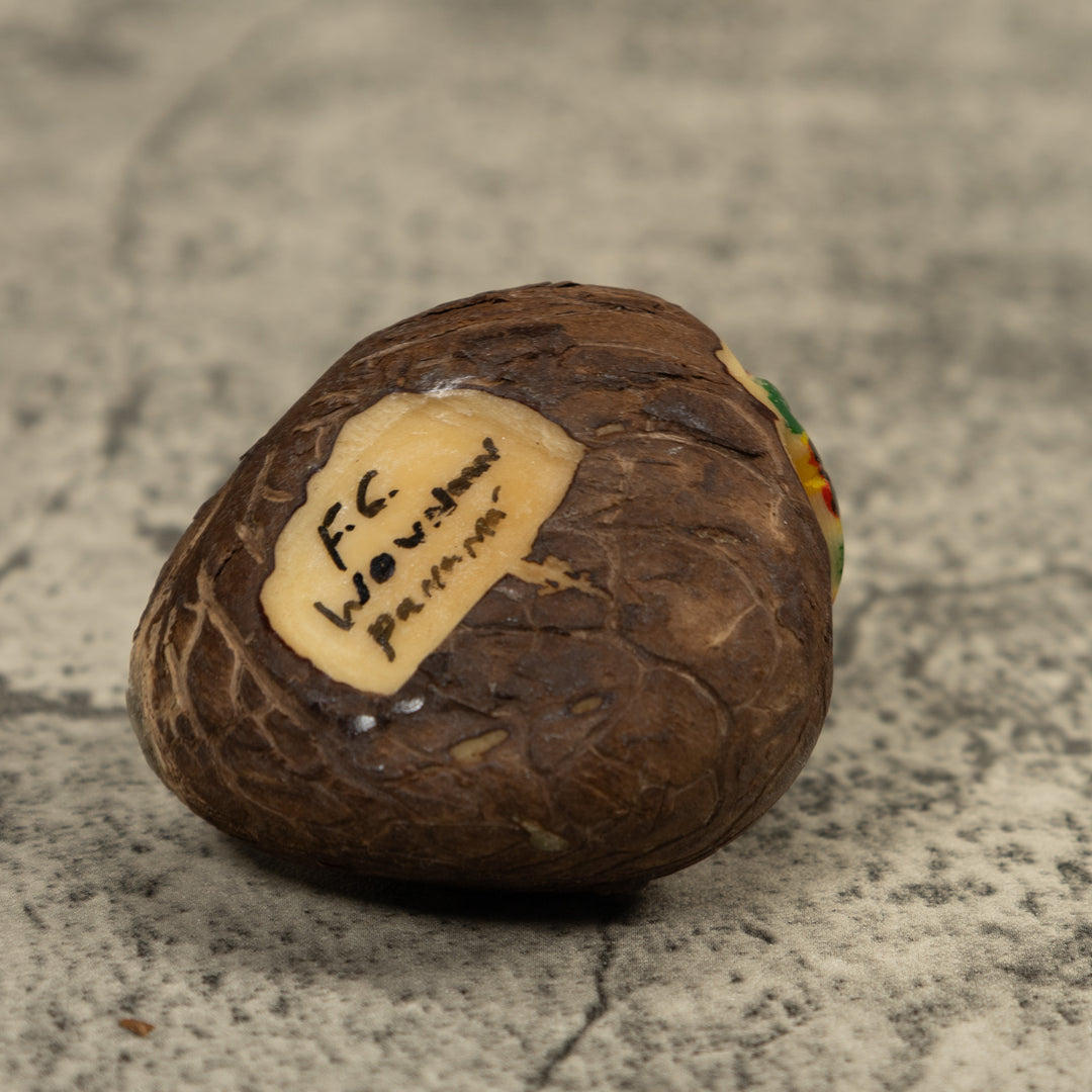 Poison Dart Frog Tagua Carving