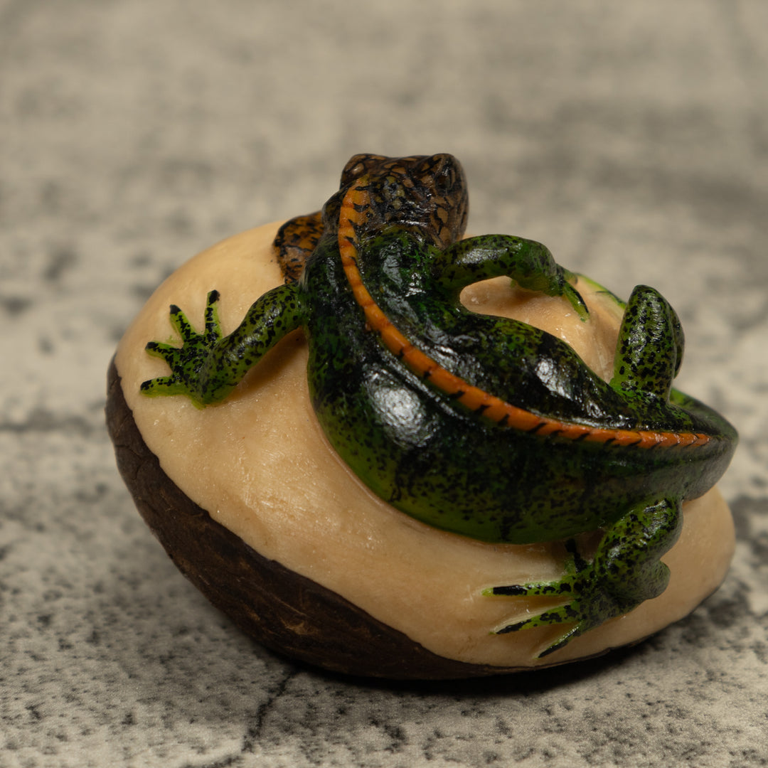 Iguana Lizard Reptile Tagua Carving